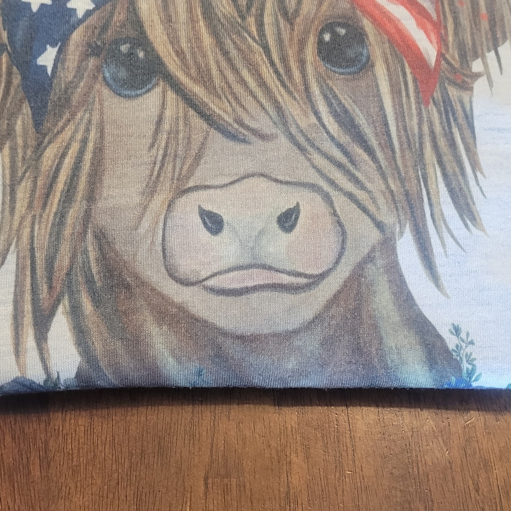 2 Gildan Blue and White Softstyle T-Shirt